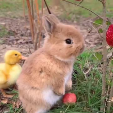 Be happy it drives people crazy