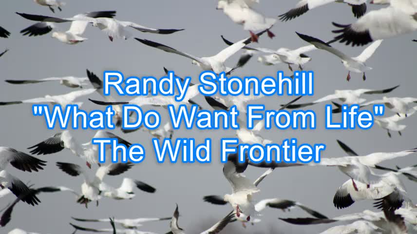 Randy Stonehill - What Do You Want From Life #307