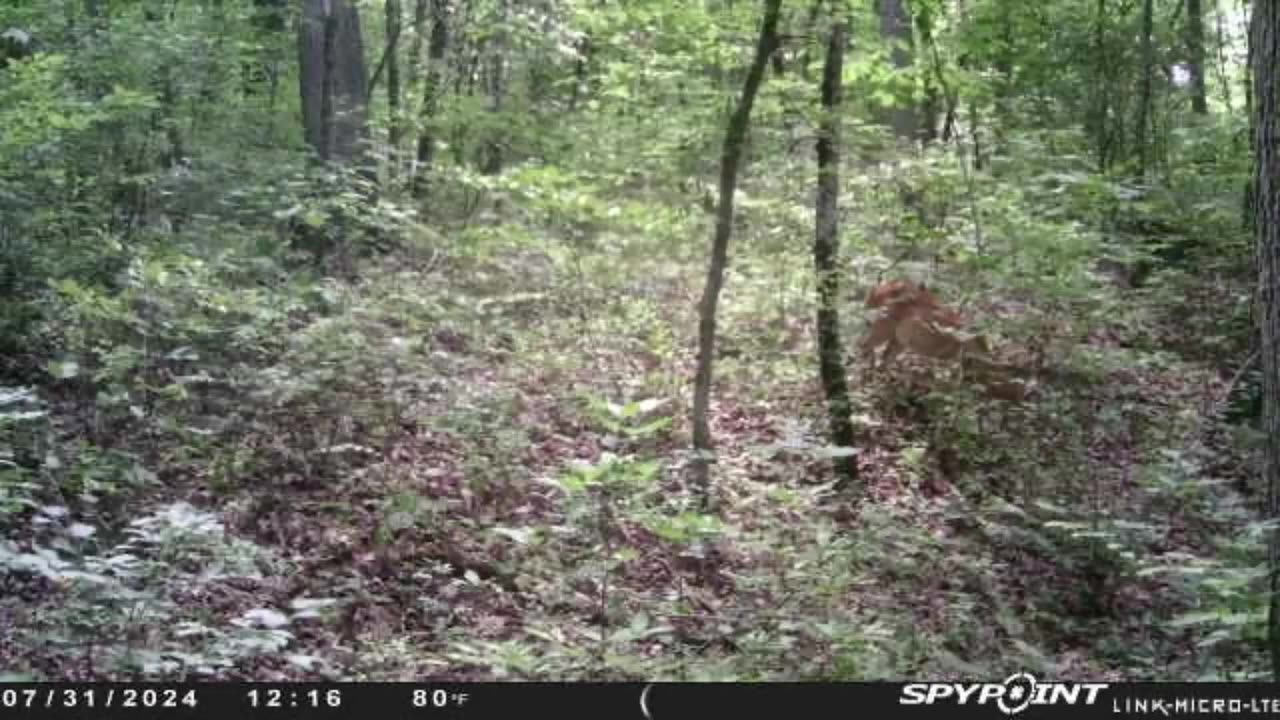 Aug Cam Pics 1