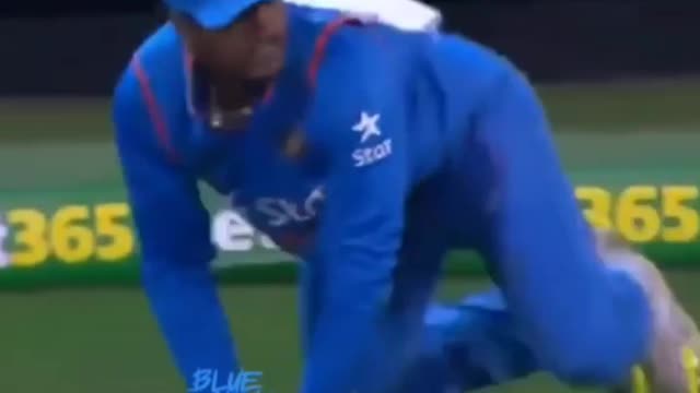 Top 15 cricket fielding