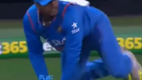 Top 15 cricket fielding