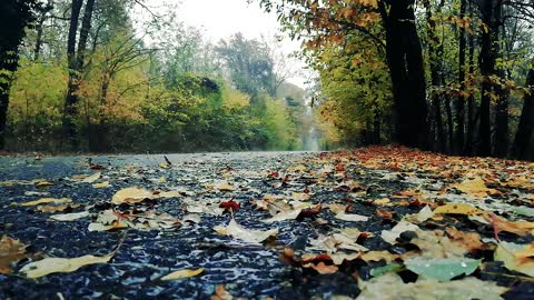 Relax and sleep with rain sounds