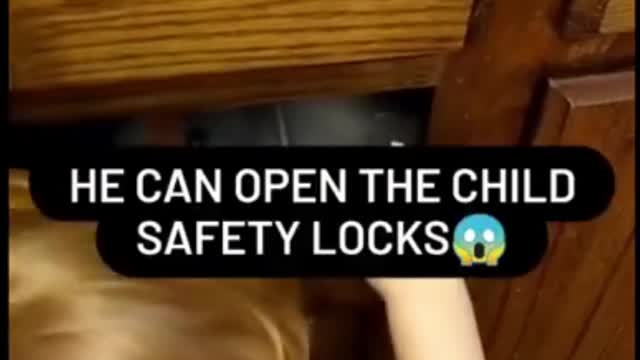 Toddler bypasses child lock to get candy