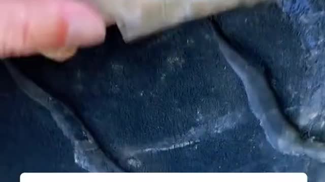 The mechanic got two car tires.