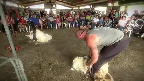 Charlie the Shearing Kid - Behind the News