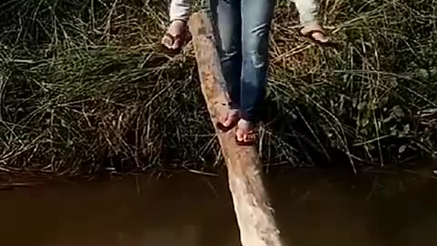 New comedy video funny video