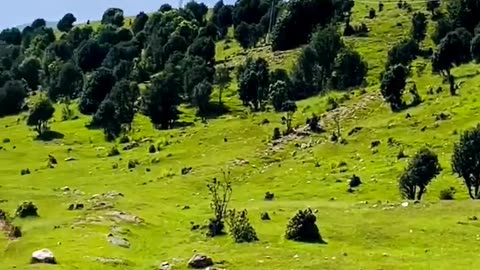 Natural beauty of Waziristan وزیرستان کی قدرتی خوبصورتی