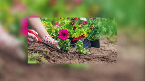 Room to Grow - Contentment Over Comparison