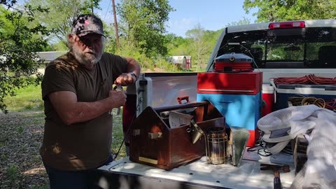 Honey Bee Removal