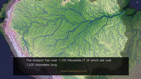 Amazon_Rainforest___Lungs_of_Our_Planet___Tanveer Ahmed