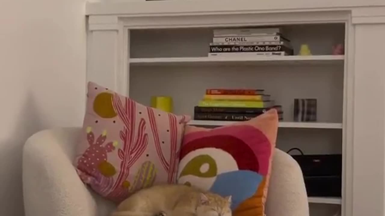 This needs to be the new Netflix intro ðŸ˜