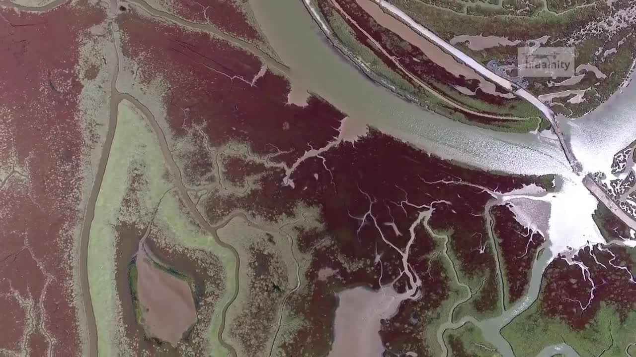 Increíble filmación con drone del delta del río Axios en Grecia