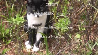 Try not to misconstrue companions. What do you think