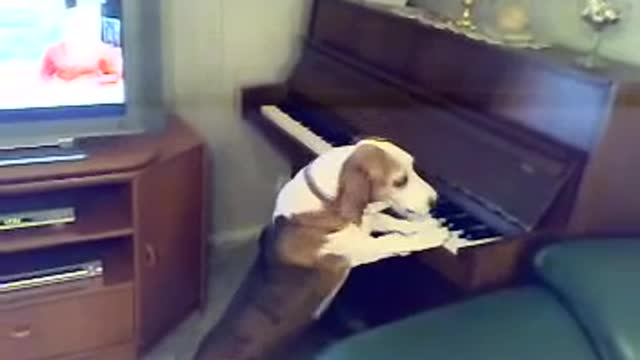 I'm playing piano