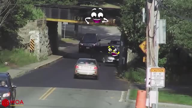 Monster Truck Doodles Gets Stuck Under Bridge | Funny Car Crash Compilation