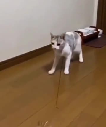 When human doesn't want to play so you have to improvise