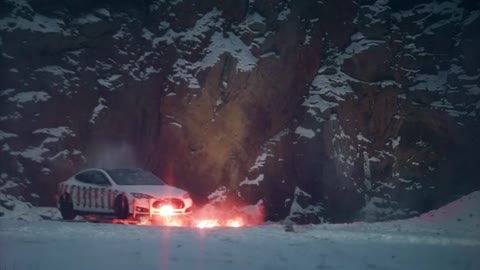 Man Blows Up Own Tesla With Elon Musk Effigy to Protest Repair Costs