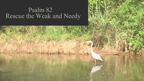 Psalm 82 - ESV Audio