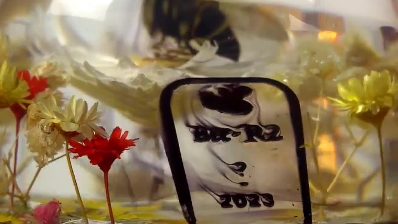 🐝 Transforming a Deceased Honeybee into a Stunning Resin Decor _ Resin Art