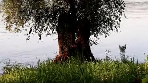 A small boat on a lake with music for comfort