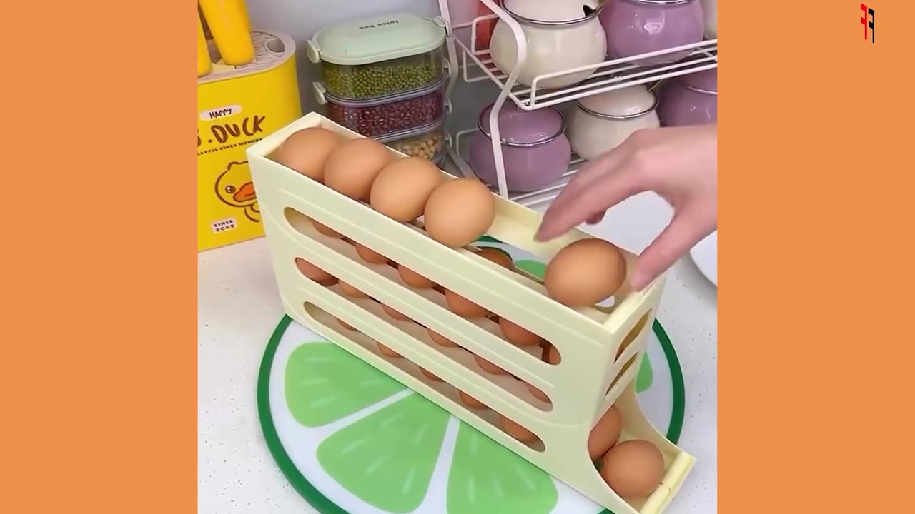Automatic Roll-Out Egg Storage Device