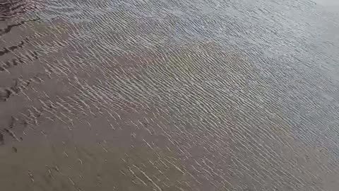 Children Visit A Large Ship on the Amazon River