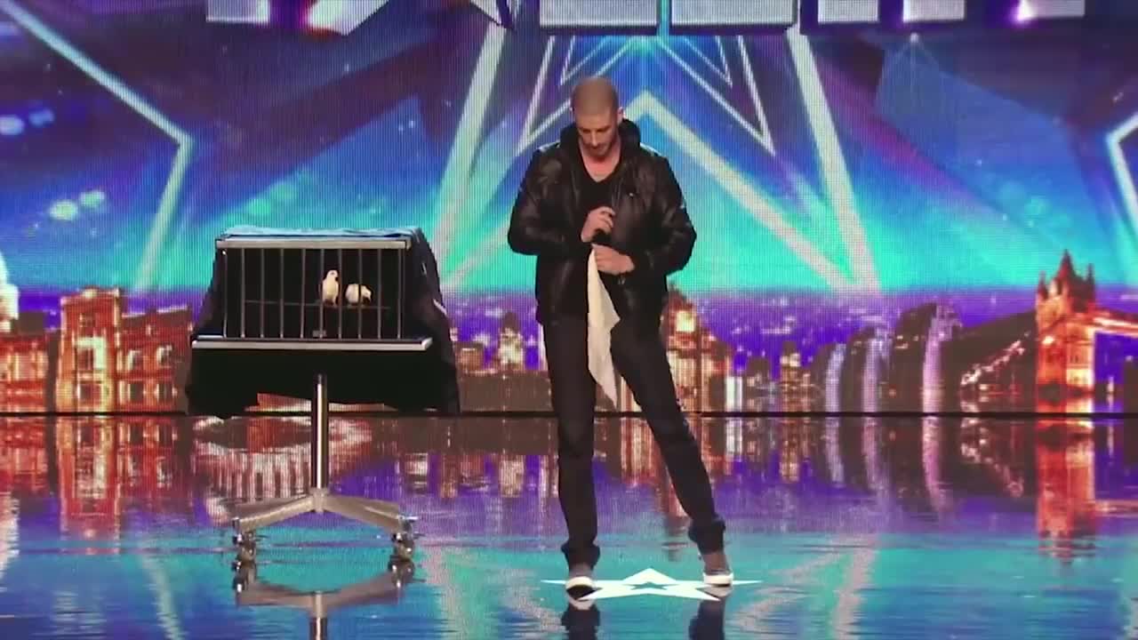 Best Illusions around the world