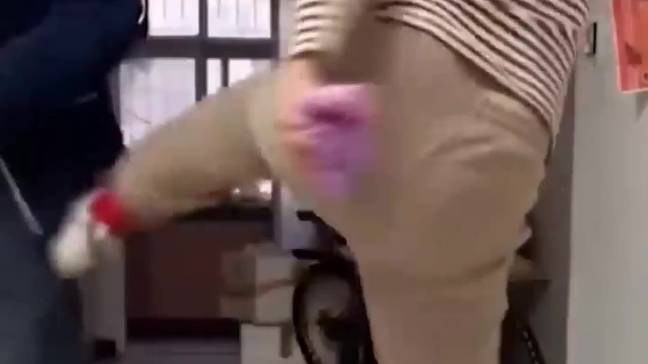 Best Funny Videos - Try Not To Laugh ------part 01