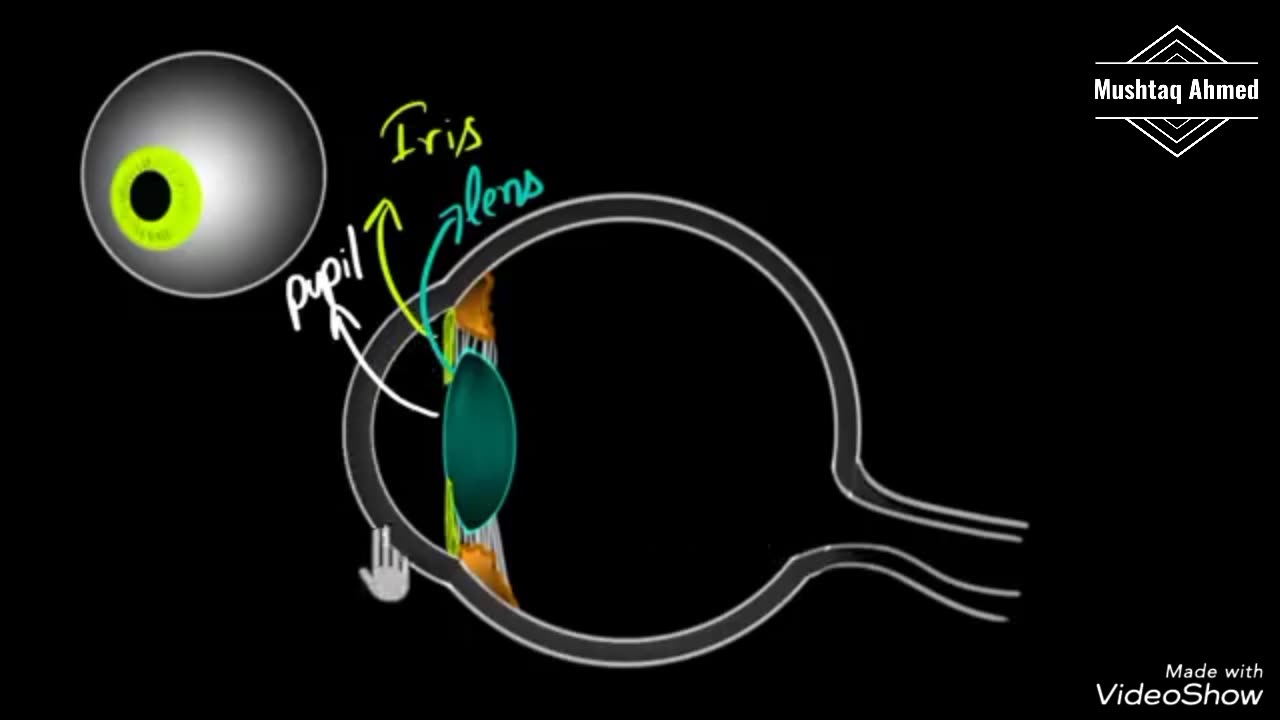 Human eye structure | working of eye | insani ankh pr film