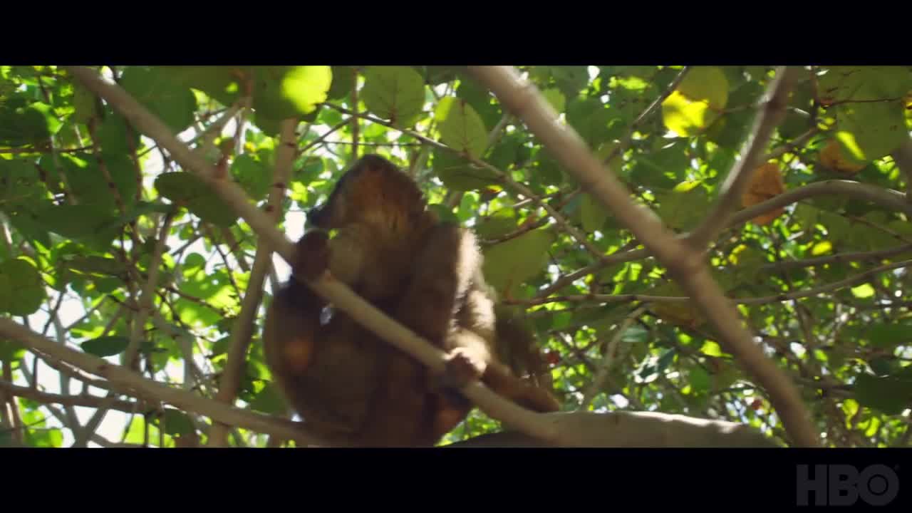 Branson _ Exclusive Clip _ HBO