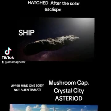 FLOATING CITIES ARE MUSHROOMS