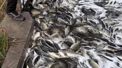 Interesting things about Fishermen must watch it 2025