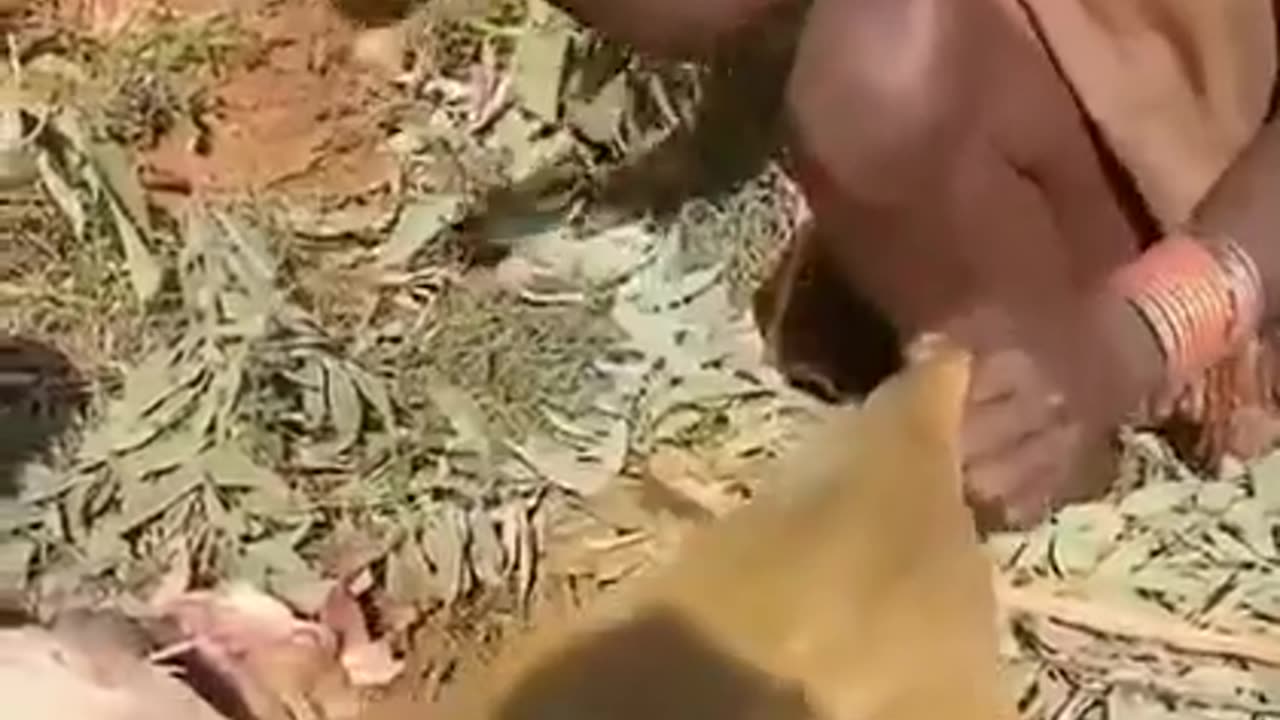 Paeceful Afrika.