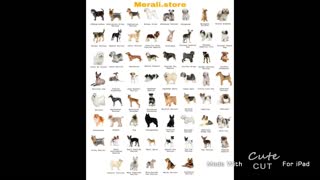 Dog & Cat Breeds