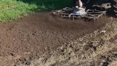 CRC vídeos curiosos