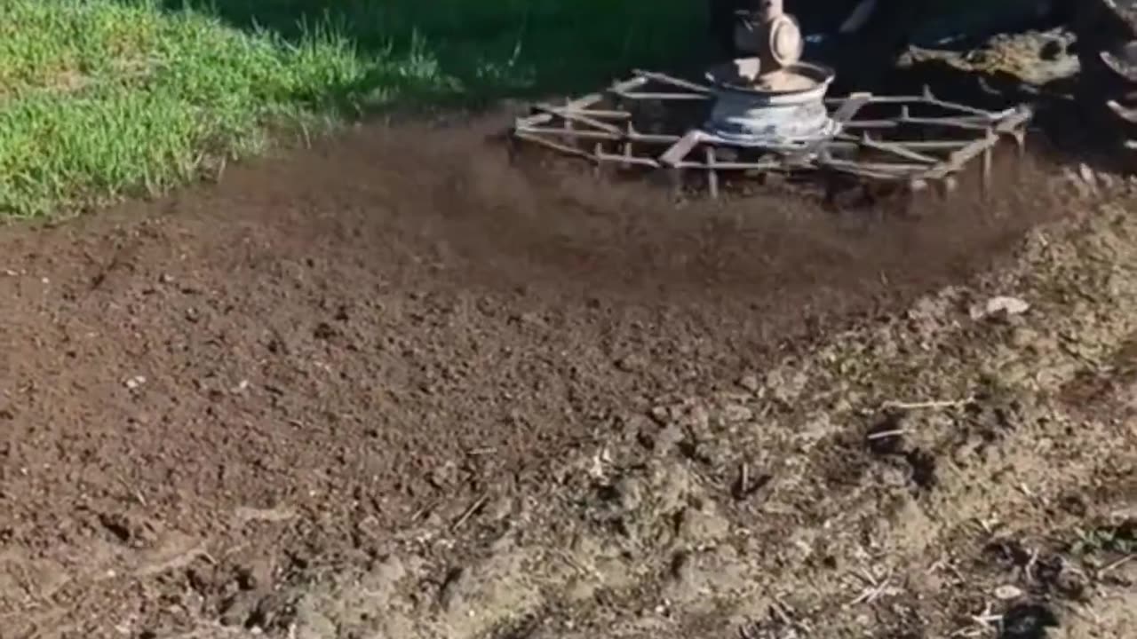 CRC vídeos curiosos