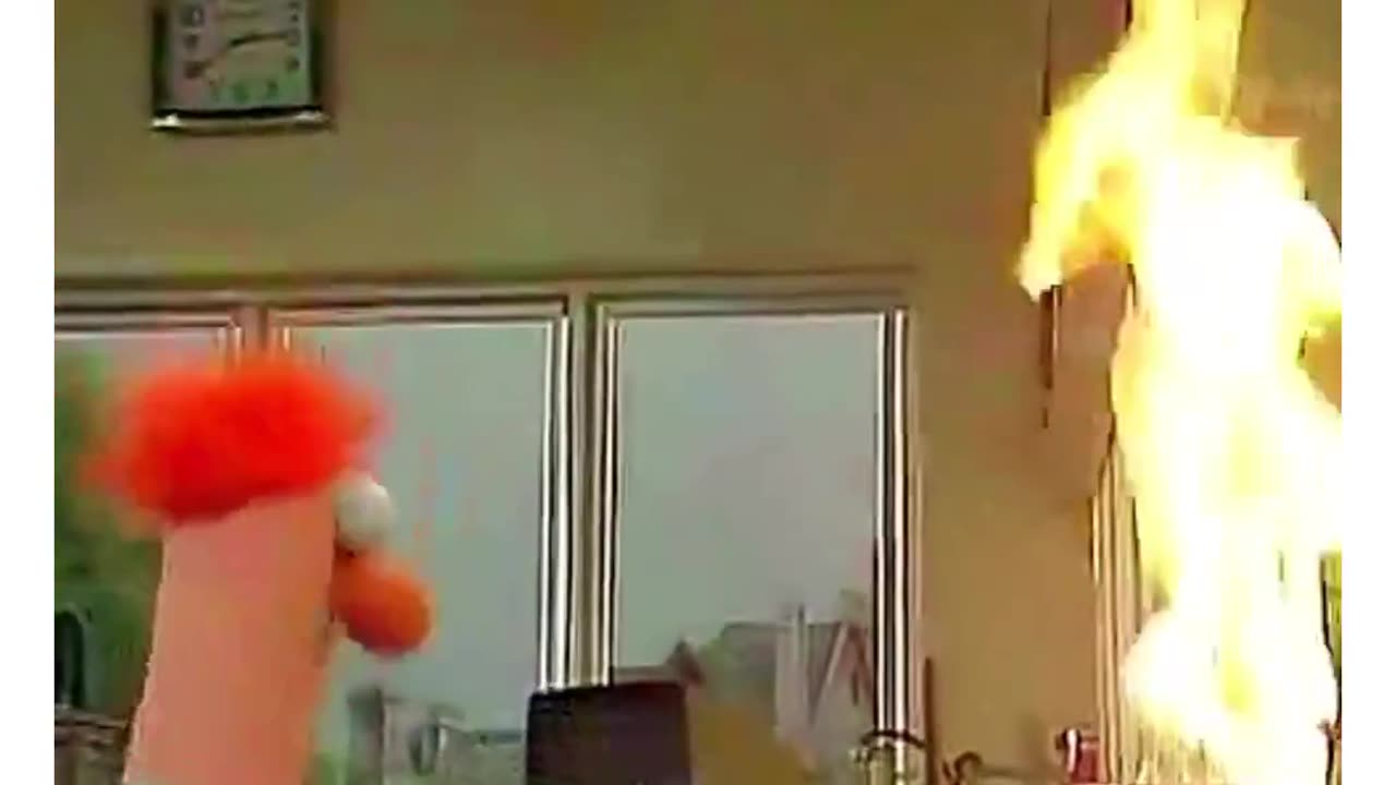 FUNNY VIDEO