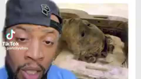 The Europeans ate mummies