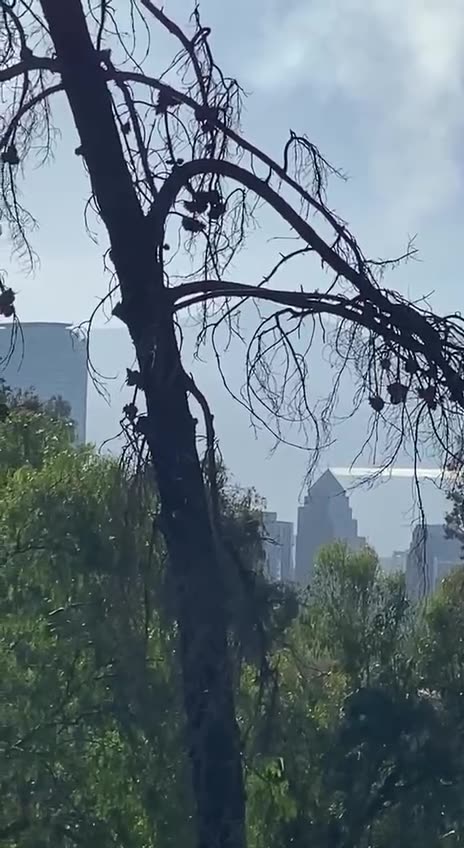 Spraying at very low altitude.