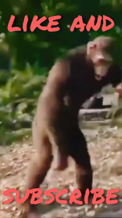 meme funny hot try not to laugh shorts _ iphone meme shorts _ daily juicy mem