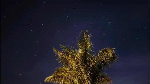 Céu estrelado.