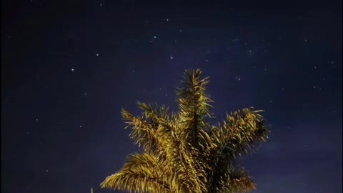 Céu estrelado.