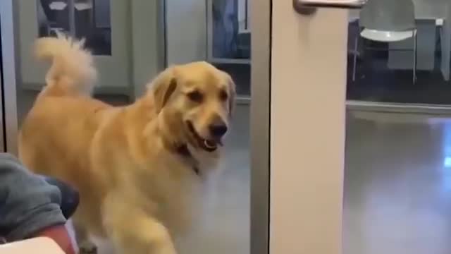 Funny Videos 2022😂😂