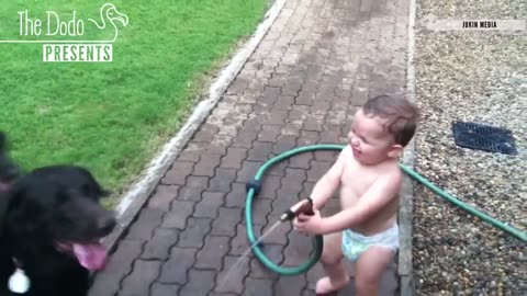 Baby boy and dog playing shower