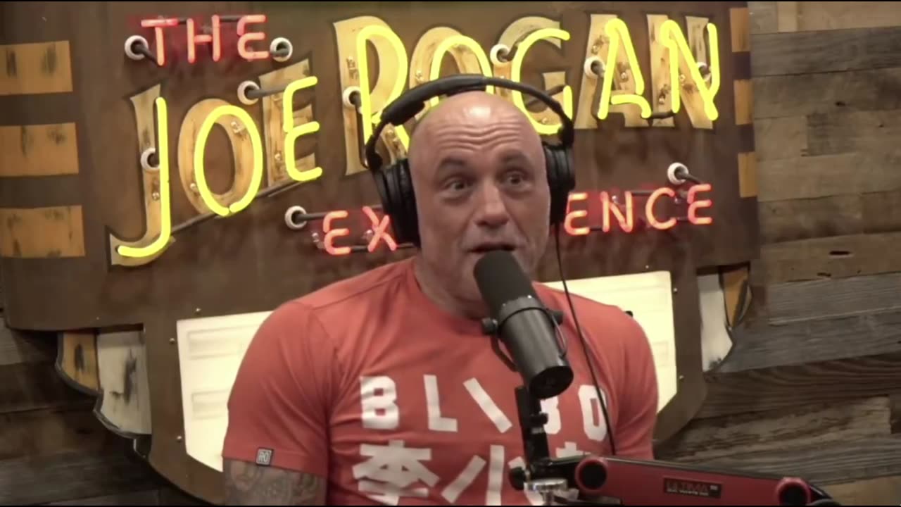 Joe Rogan - We are living in a simulation