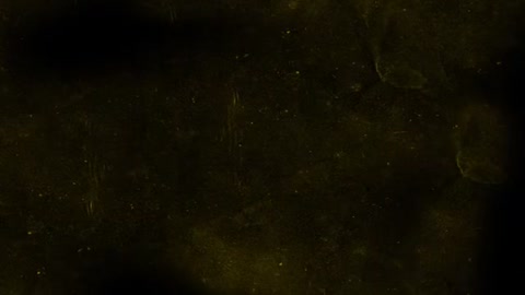 A Wing and a Prayer - Jordan Peterson