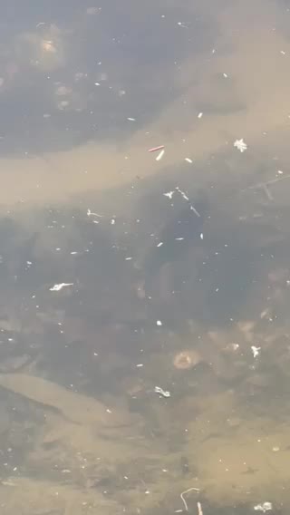 Looks like some babies will be on the way