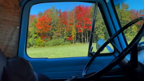 Autumn Treehouse & Cabin Roadtrips-10