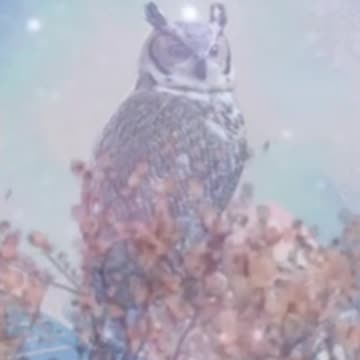 When making decisions...