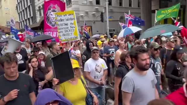 Saturday 23 April 2022 Brisbane TPR Freedom Rally Dave Oneegs video